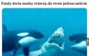 To o dwie za dużo
