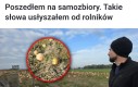 Tytuł zbiera teraz ziemniaki