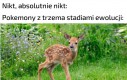 Są naprawdę potężne na koniec