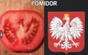 Pomidor patriotyczny