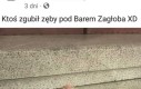 Czyja zguba?