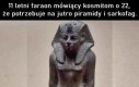 Panowie jest taka sprawa