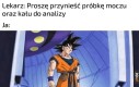 Rel