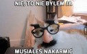 Maestro kamuflażu