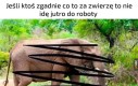Jestem bezrobotny
