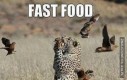 Naturalny fast-food