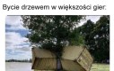 Ścinanko
