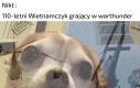 Flashbacki z Wietnamu