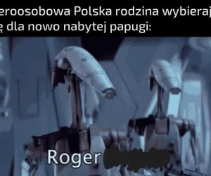 Feluś
