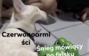 Houston mamy problem