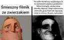 I to wszystko za pół parówki