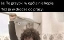 Albo może jednak kopią