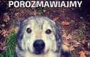 Porozmawiajmy