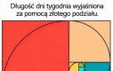 Tak to właśnie wygląda