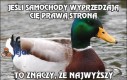 Jeśli samochody wyprzedzają Cię prawą stroną