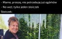 Moje mieszkania składa się przetworów