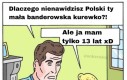 Nie polecam czytania komentarzy na ten temat, nowotwór gwarantowany