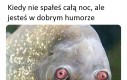 Zmęczony ale szczęśliwy