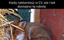 Ważne kto wychowa