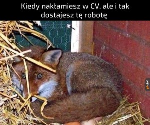 Ważne kto wychowa