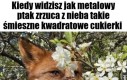 Mmm dobre chrupkie takie