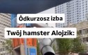 Chomik :D