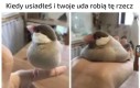 Rozlały się