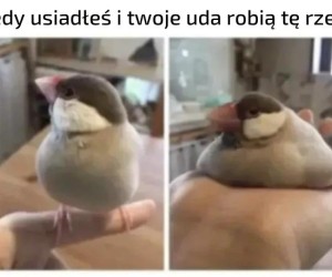 Rozlały się