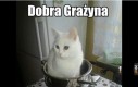 Rzakuzi