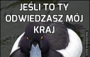 Maniery przede wszystkim