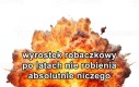 Przydatna rzecz