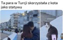 Miło ze strony kota, że pomógł