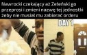 Gówno sraka defekacja odchody kał
