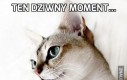 Ten dziwny moment...