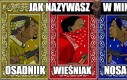 Jak nazywasz villagera?