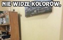 Mój pies naćpany po wizycie u weterynarza