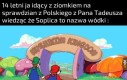 Ksiądz Robak