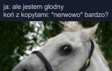 Jak bardzo?
