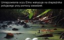 Jak taki dajmy na to krokodyl
