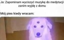 Jakiś taki uduchowiony się zrobił