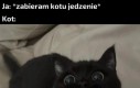 Robi się niebezpiecznie