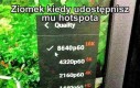 Nie uszanuje