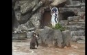 Ciekawe co sobie zażyczy Grape-kun