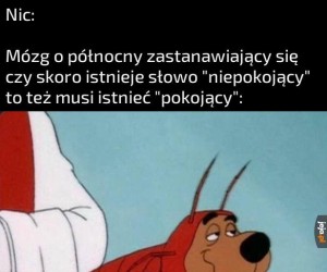 A miałem iść spać