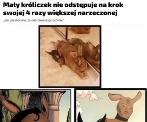 Jak osioł i smoczyca