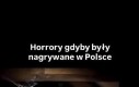 Made in Poland