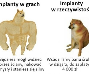 Płać pan