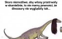 Czy dinozaury były włochate?