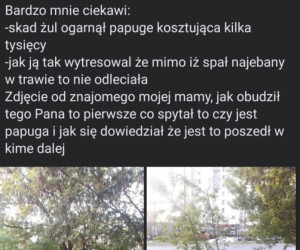 Tak wiele pytań
