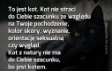 Kota nie obchodzą Twoje poglądy